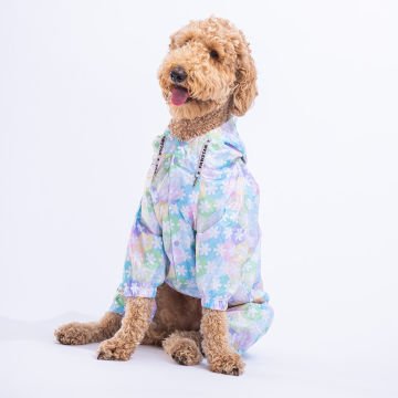 PawStar 23563 Flores  Büyük Irk Yağmurluk