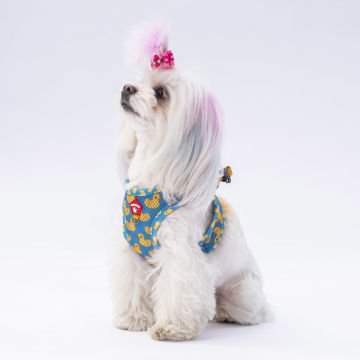 PawStar  Airmesh Ducks Göğüs Tasması