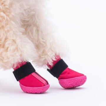 PawStar  Fuşya Köpek Ayakkabısı