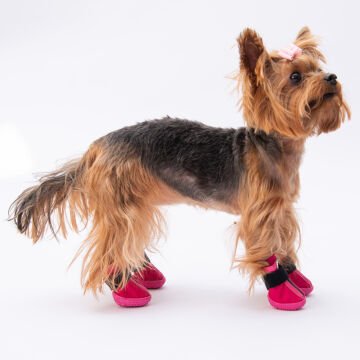 PawStar  Fuşya Köpek Ayakkabısı