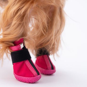 PawStar  Fuşya Köpek Ayakkabısı
