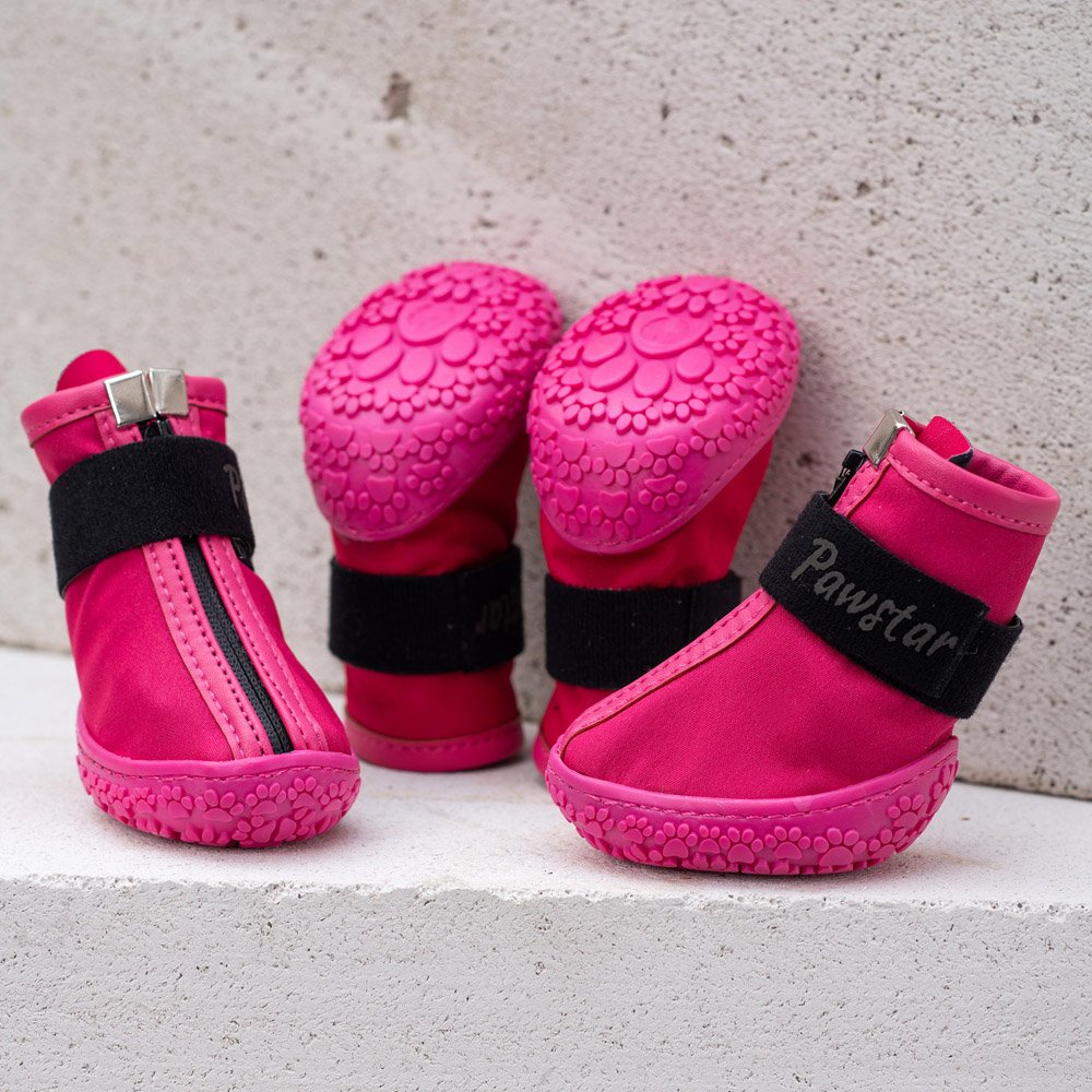 PawStar  Fuşya Köpek Ayakkabısı