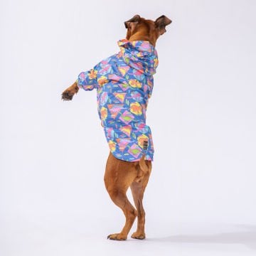 PawStar Dinosaurum Büyük Irk Yağmurluk