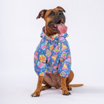 PawStar Dinosaurum Büyük Irk Yağmurluk