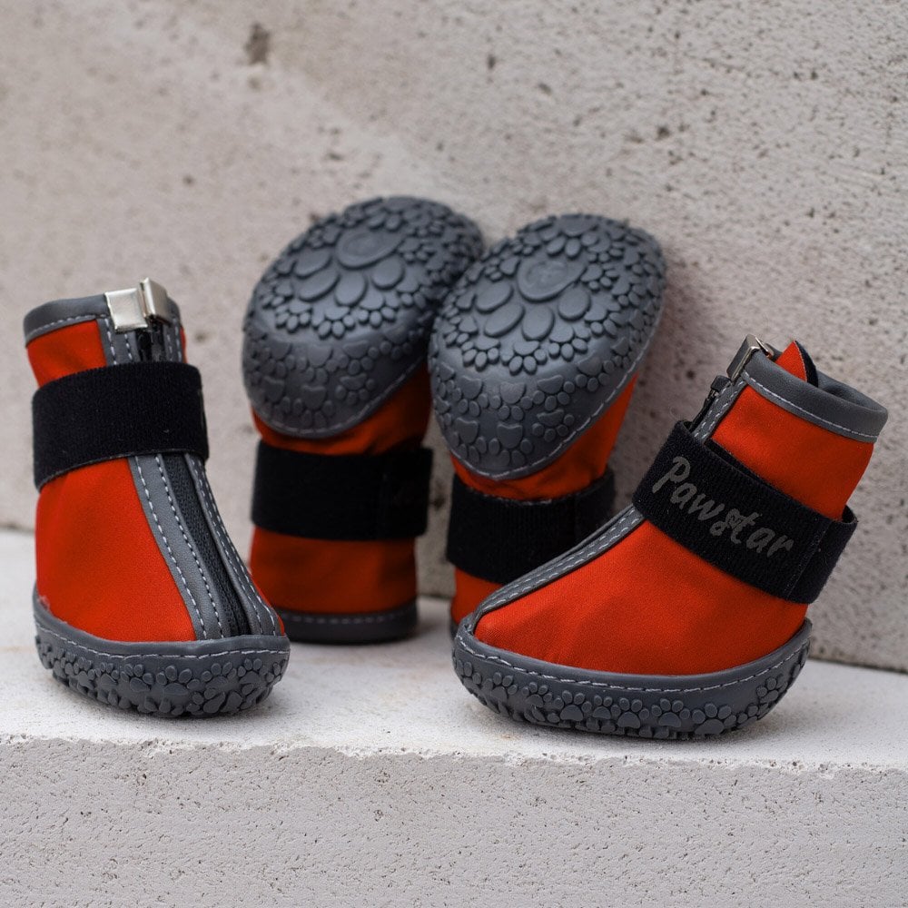PawStar  Kırmızı Köpek Ayakkabısı