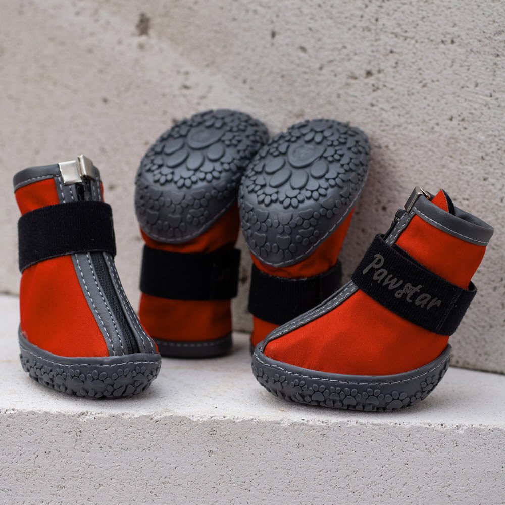 PawStar  Kırmızı Köpek Ayakkabısı