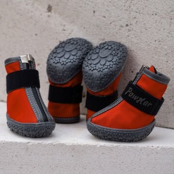 PawStar  Kırmızı Köpek Ayakkabısı