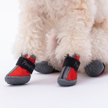 PawStar  Kırmızı Köpek Ayakkabısı