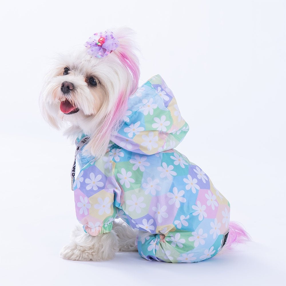 PawStar Flores Tulum Yağmurluk Küçük ve Orta Irk