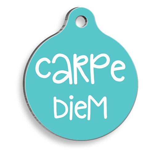 Carpe Diem Yuvarlak Kedi ve Köpek Künyesi Medium 3 cm
