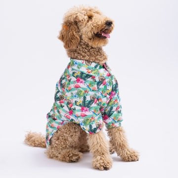 PawStar Hawai Büyük Irk Gömlek