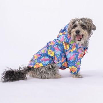 PawStar Dinosaurum Yağmurluk Küçük ve Orta Irk