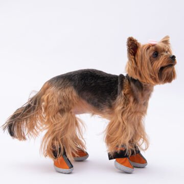 PawStar  Turuncu Köpek Ayakkabısı