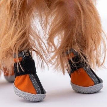PawStar  Turuncu Köpek Ayakkabısı