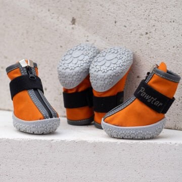 PawStar  Turuncu Köpek Ayakkabısı