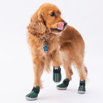 PawStar  Yeşil Köpek Ayakkabısı