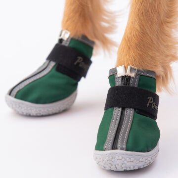 PawStar  Yeşil Köpek Ayakkabısı