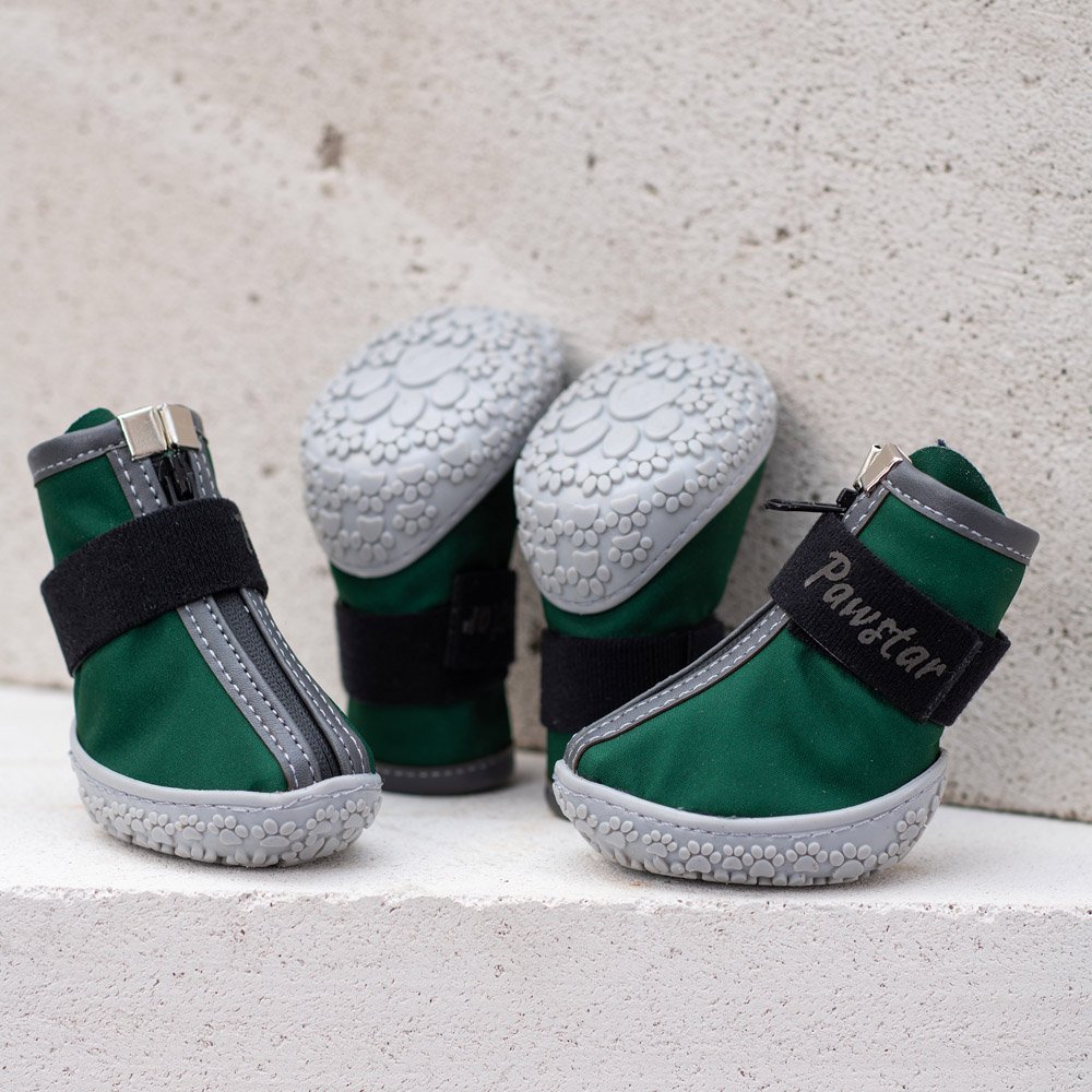 PawStar  Yeşil Köpek Ayakkabısı