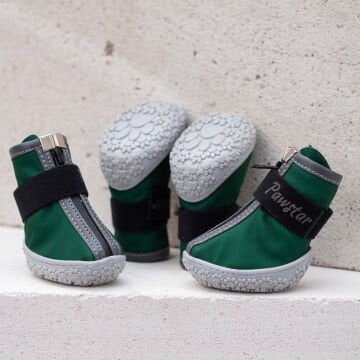 PawStar  Yeşil Köpek Ayakkabısı