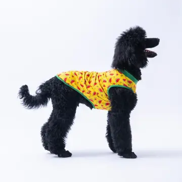 PawStar Watermelon  T-Shirt Büyük Irk
