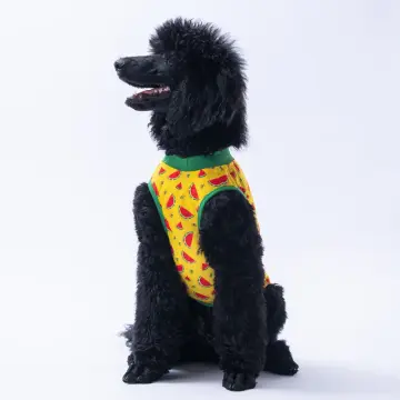 PawStar Watermelon  T-Shirt Büyük Irk