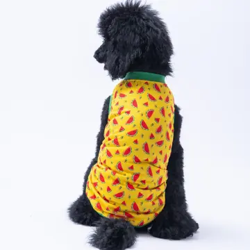 PawStar Watermelon  T-Shirt Büyük Irk