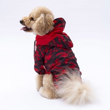 PawStar Kırmızı Dijon Yağmurluk Küçük ve Orta Irk