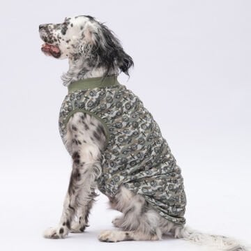 PawStar Air Army T-Shirt Büyük Irk