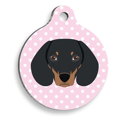 Pembe Puantiyeli Dakhund Sosis Köğeği Yuvarlak Köpek Künyesi