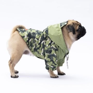 PawStar Yeşil Dijon Yağmurluk Küçük ve Orta Irk