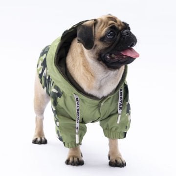 PawStar Yeşil Dijon Yağmurluk Küçük ve Orta Irk