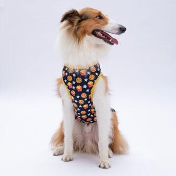 PawStar Star Hamburger T-Shirt Büyük Irk