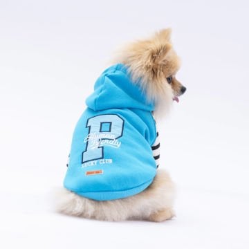 PawStar Turkuaz Lucky Club Hoodie Küçük ve Orta Irk