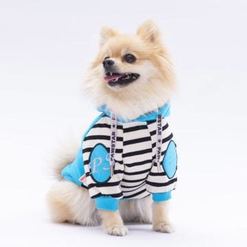 PawStar Turkuaz Lucky Club Hoodie Küçük ve Orta Irk