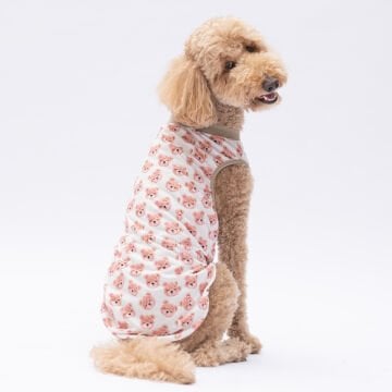 PawStar Cute Bears T-Shirt Büyük Irk