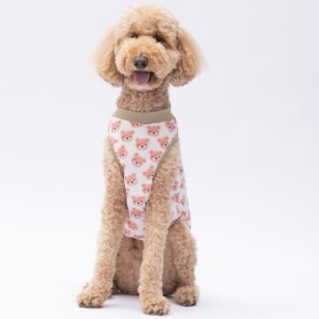 PawStar Cute Bears T-Shirt Büyük Irk