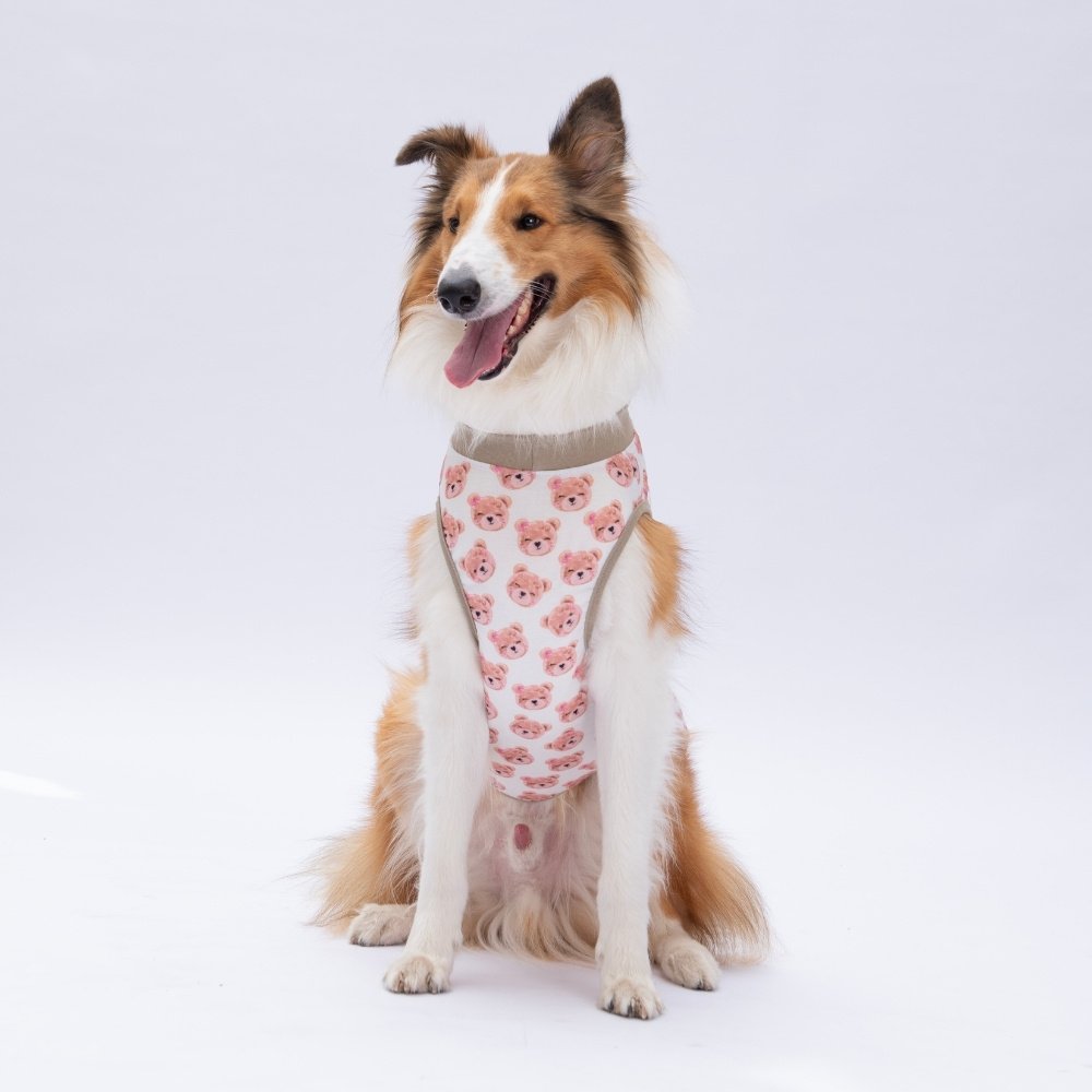 PawStar Cute Bears T-Shirt Büyük Irk