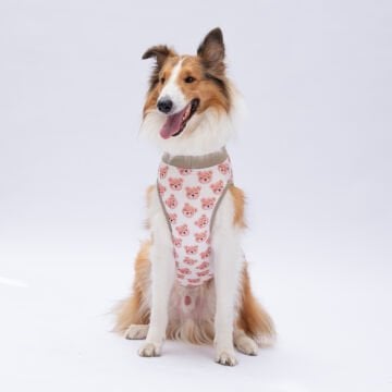 PawStar Cute Bears T-Shirt Büyük Irk