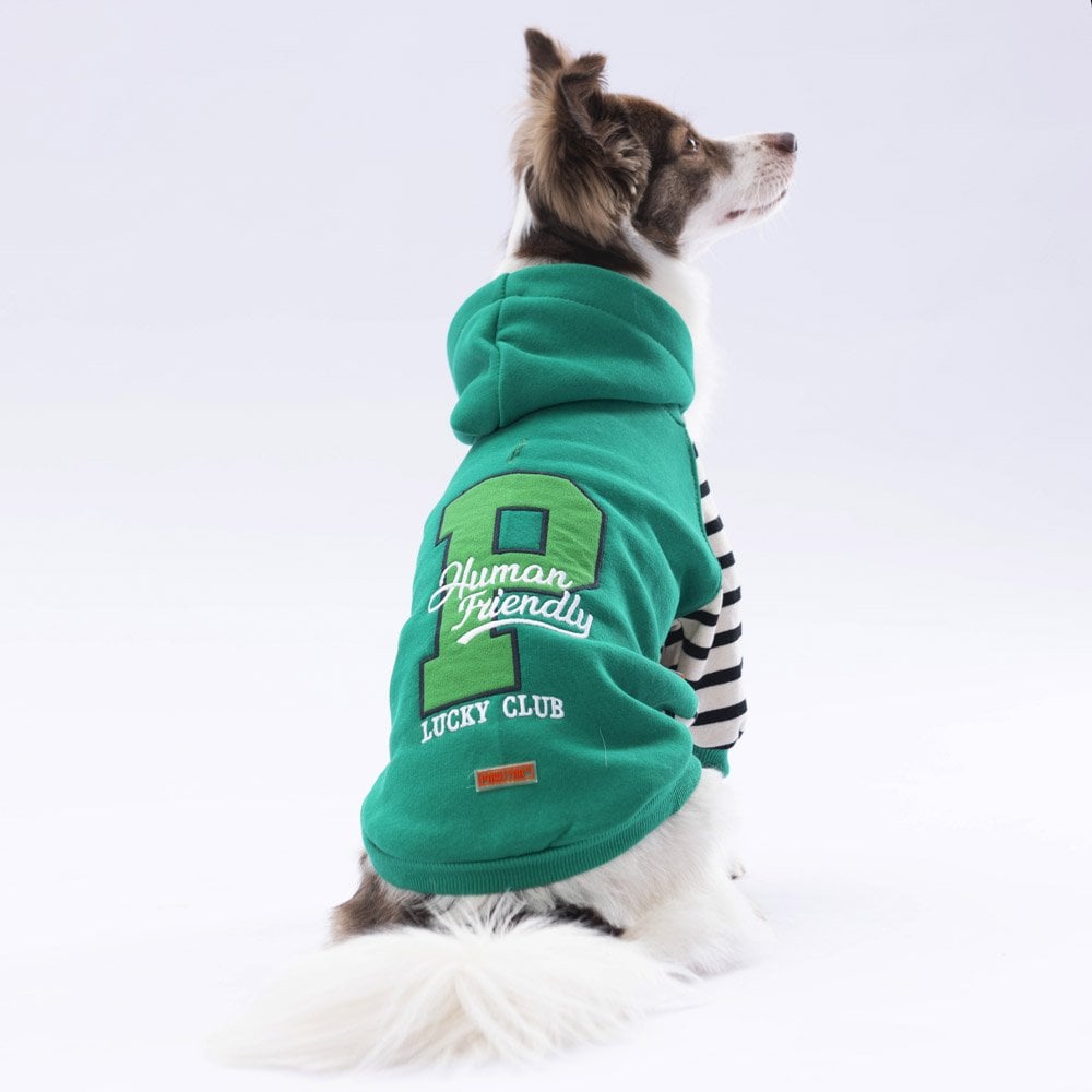 PawStar Yeşil Lucky Club Hoodie Küçük ve Orta Irk