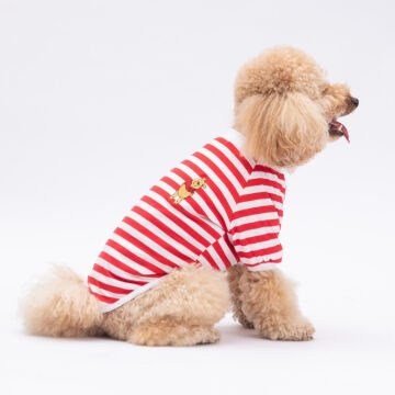 PawStar Kırmızı Winnie Küçük Irk Sweat