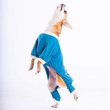 PawStar Mavi Giraffe Penye Tulum