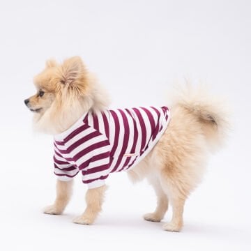 PawStar Mor Piglet Küçük Irk Sweat