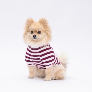 PawStar Mor Piglet Küçük Irk Sweat