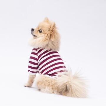 PawStar Mor Piglet Küçük Irk Sweat