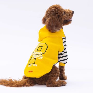 PawStar Sarı Lucky Club Hoodie Küçük ve Orta Irk