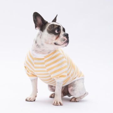 PawStar Sarı Eeyore Küçük Irk Sweat