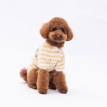 PawStar Sarı Eeyore Küçük Irk Sweat