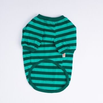 PawStar Yeşil Tigger Küçük Irk Sweat