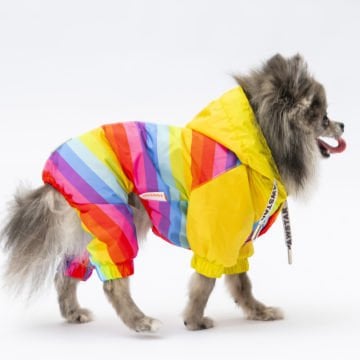 PawStar  Peru Tulum Yağmurluk Küçük ve Orta Irk