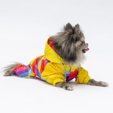 PawStar  Peru Tulum Yağmurluk Küçük ve Orta Irk